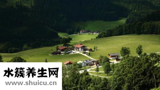 怎么扎花苞頭