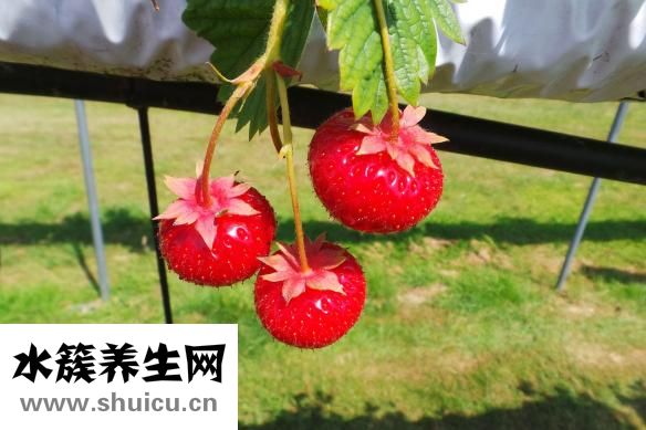 喜夢寶家具怎么樣