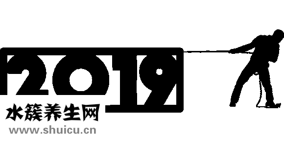 龐玉琴怎么樣