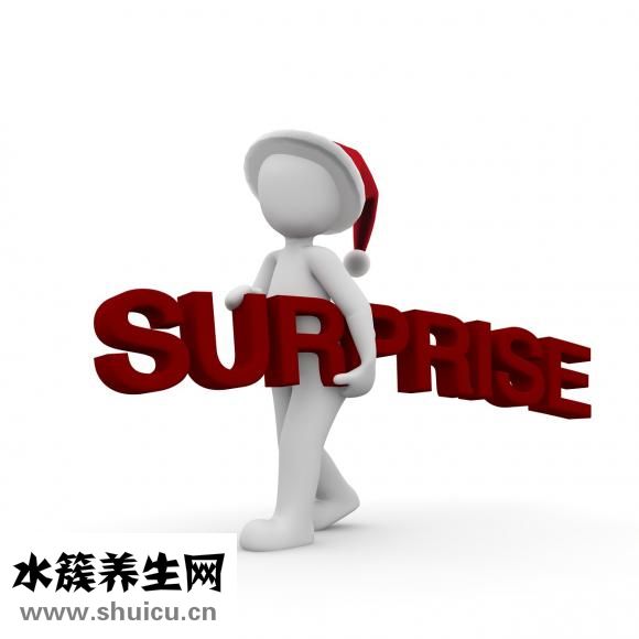 詩漫丹怎么樣