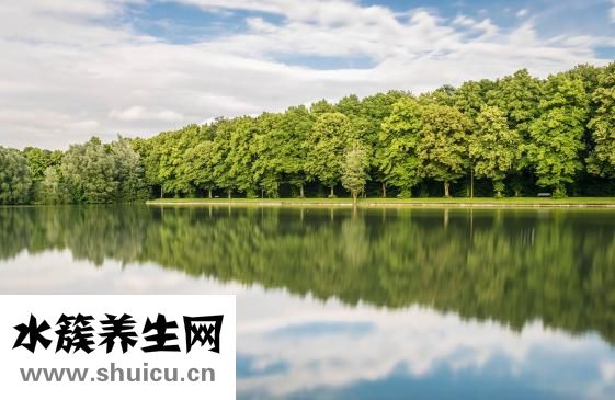 生態棉的尿布怎么樣