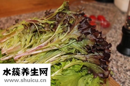 冬菜是什么