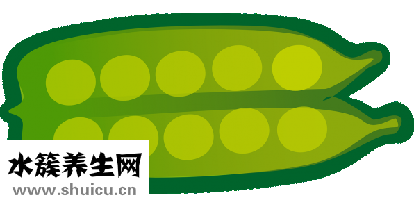 冬菜是什么