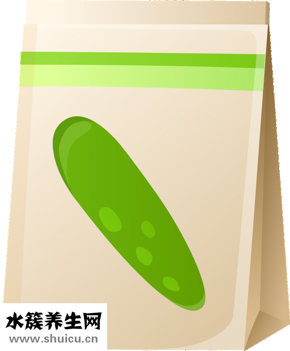 一條根怎么樣