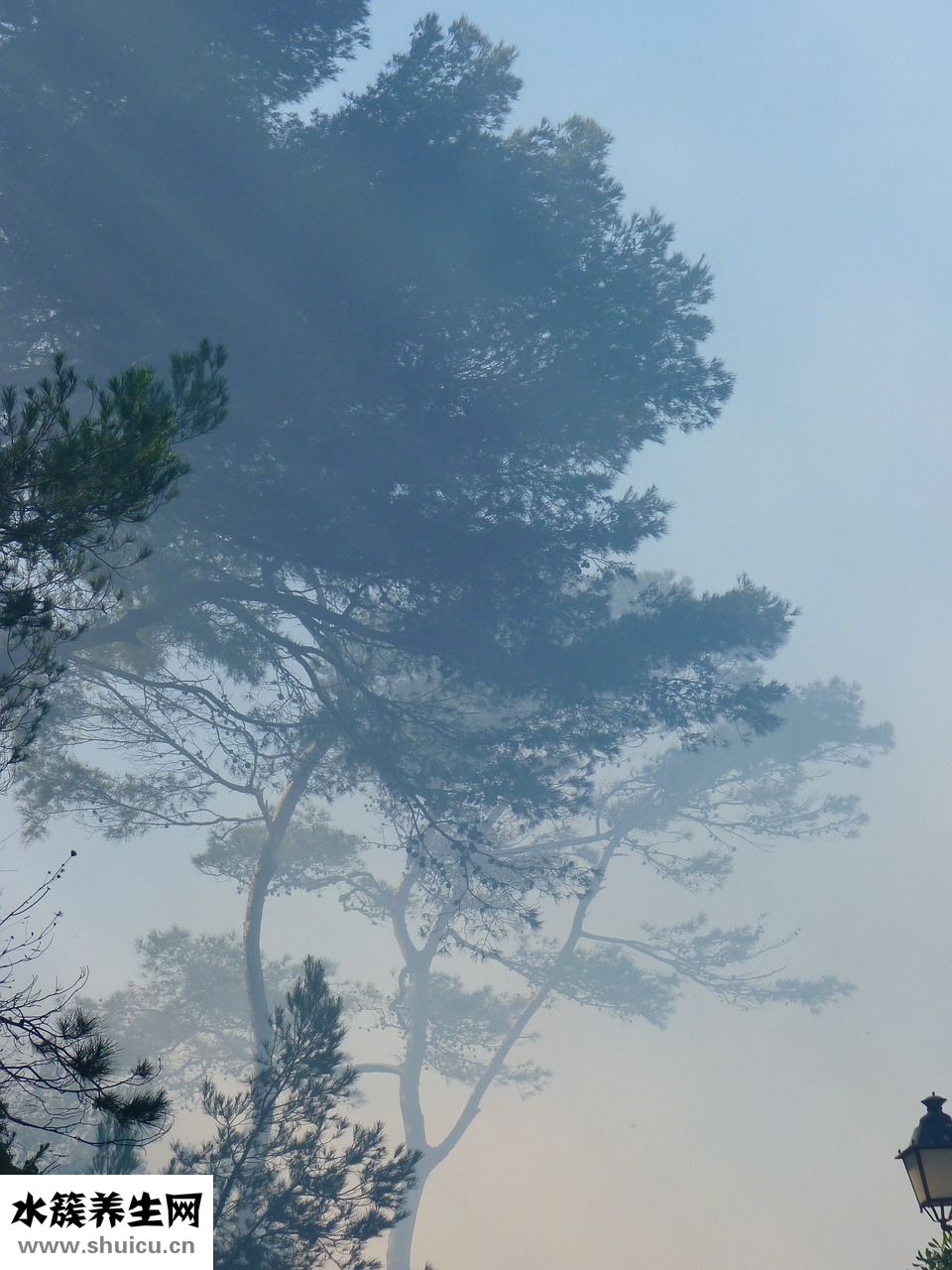 郁悶怎么辦