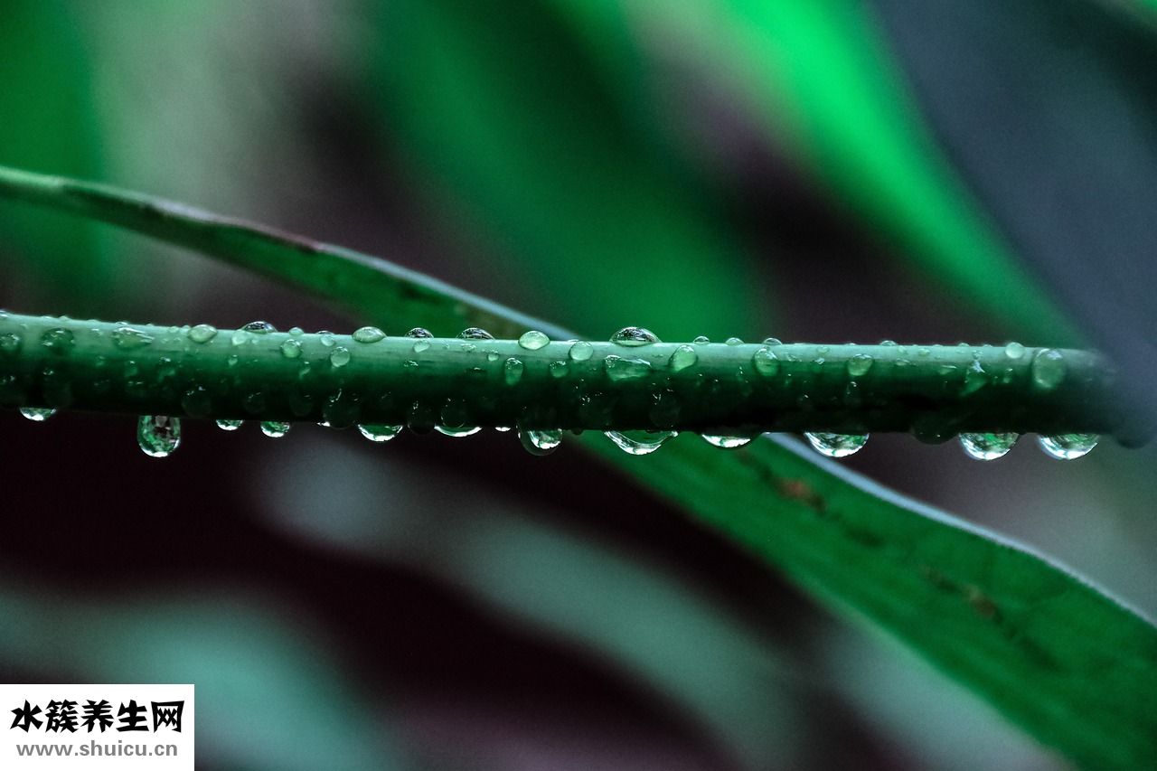 怎么樣讓寶寶學會爬