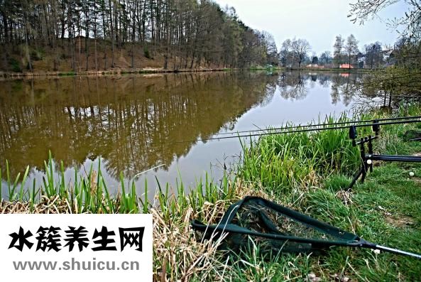 曹大農怎么樣