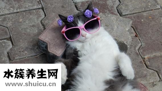 如何做毛血旺