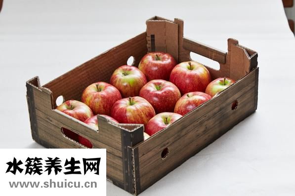 雙子怎么打