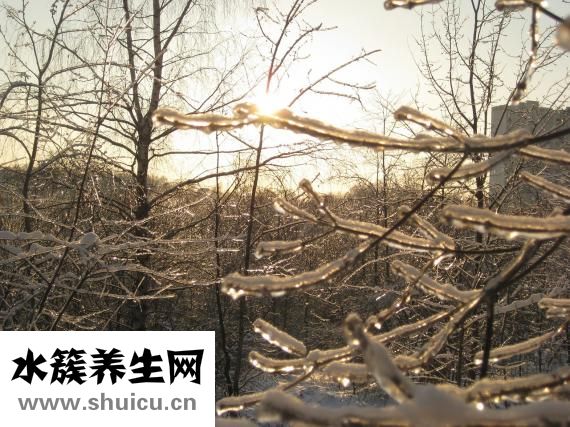 凍雨是什么