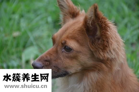 鬢角怎么留