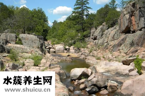 姚康壽怎么樣