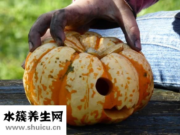鼻螨凈怎么樣