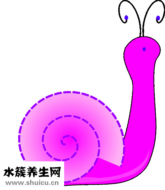虎皮魚吃什么