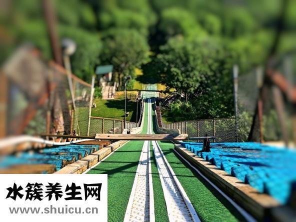 香碧姿怎么樣