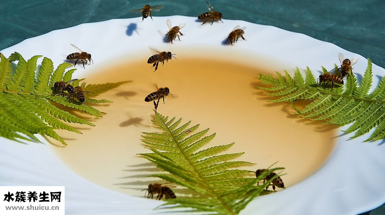 萱肌蜜怎么樣