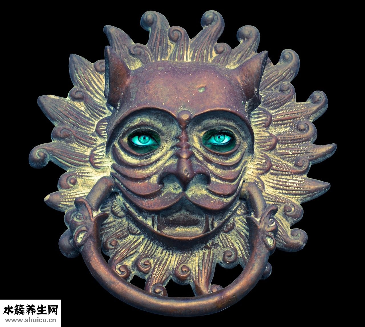 小狗耳朵進水怎么辦