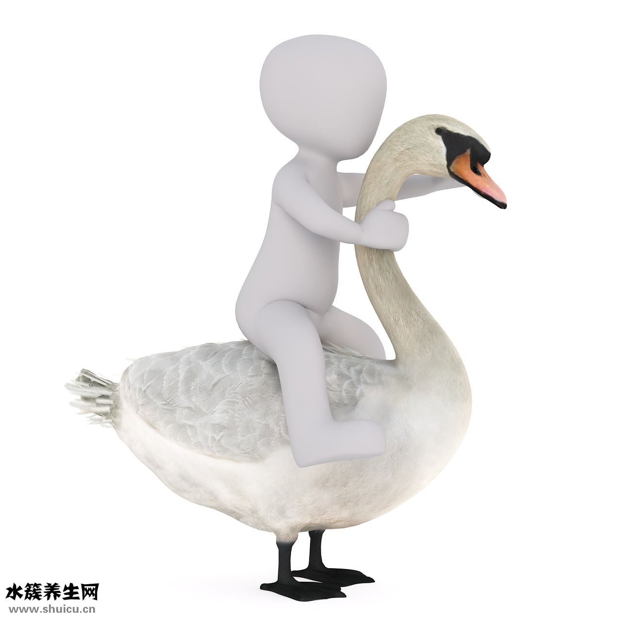 怎么得瘧疾