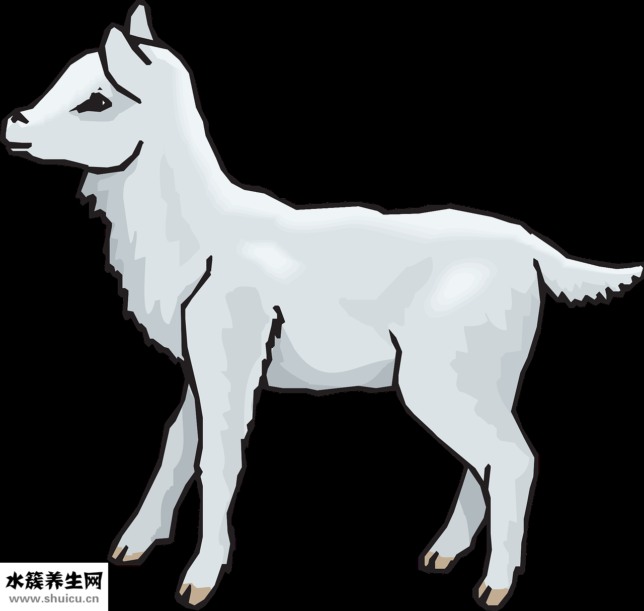 陽氣低怎么辦