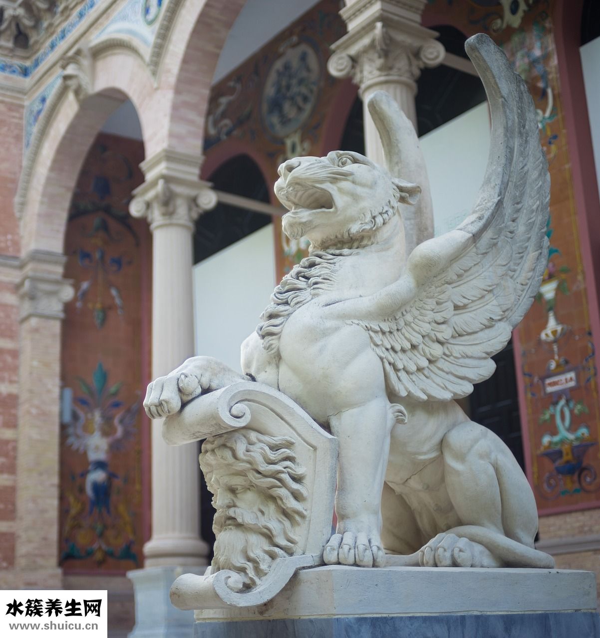 陽氣低怎么辦