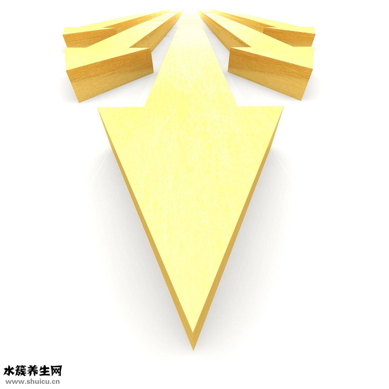 頸肌怎么鍛煉