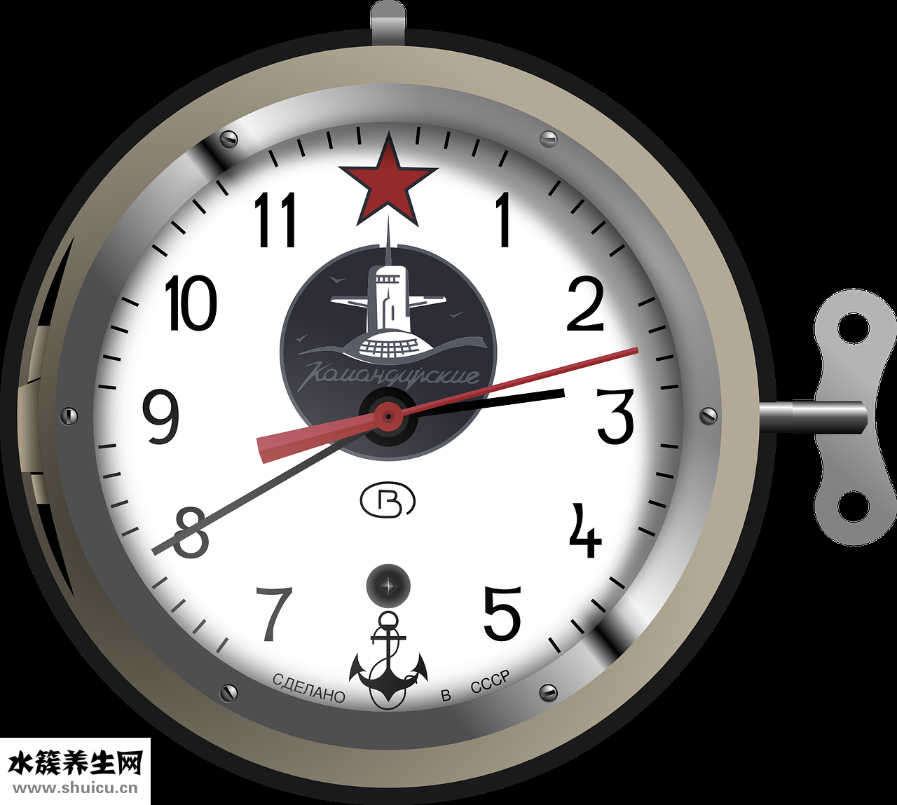 蘆筍怎么存放