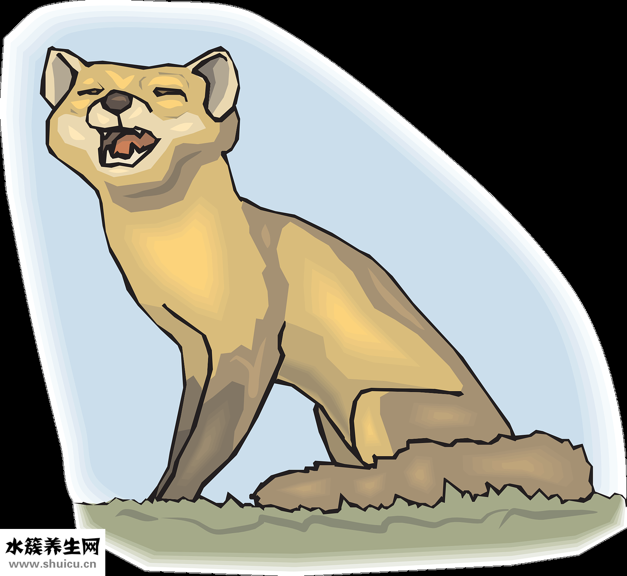 兒童怎么刮痧