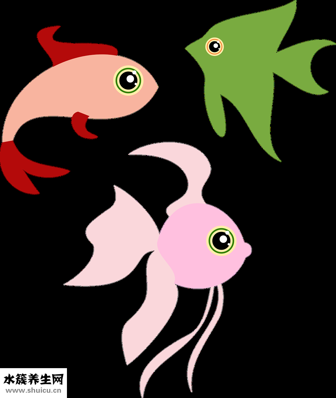 魚磷怎么吃