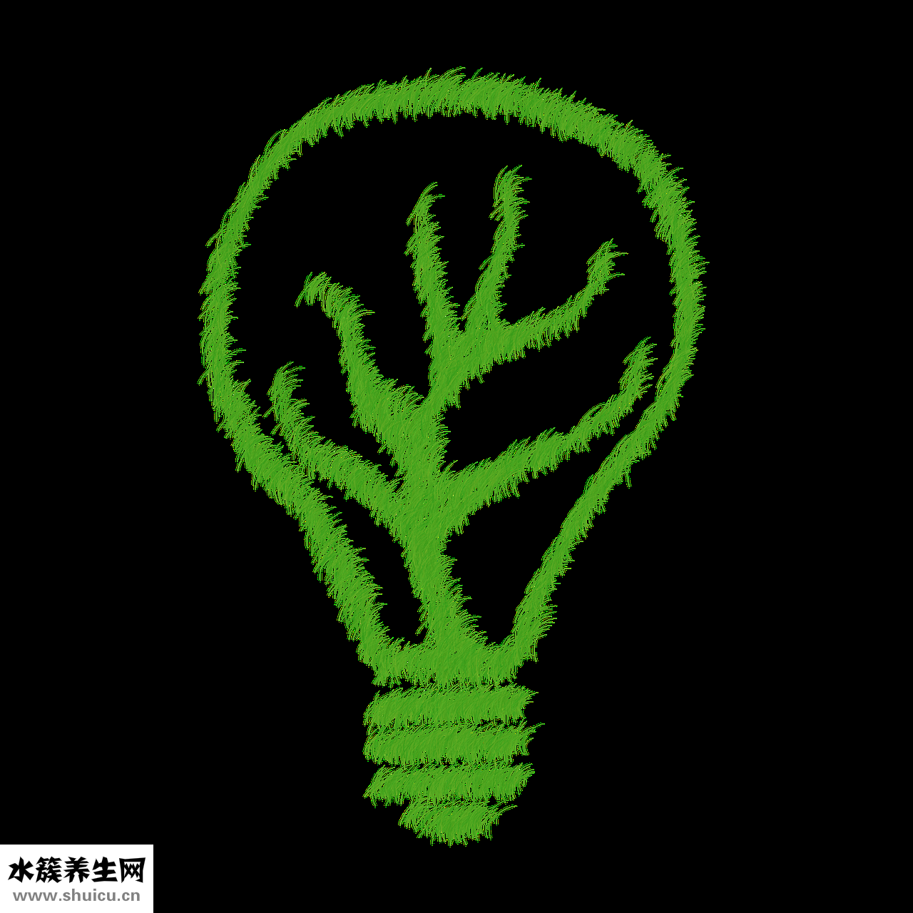 清艾條怎么用