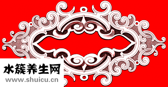 藥柏怎么盤