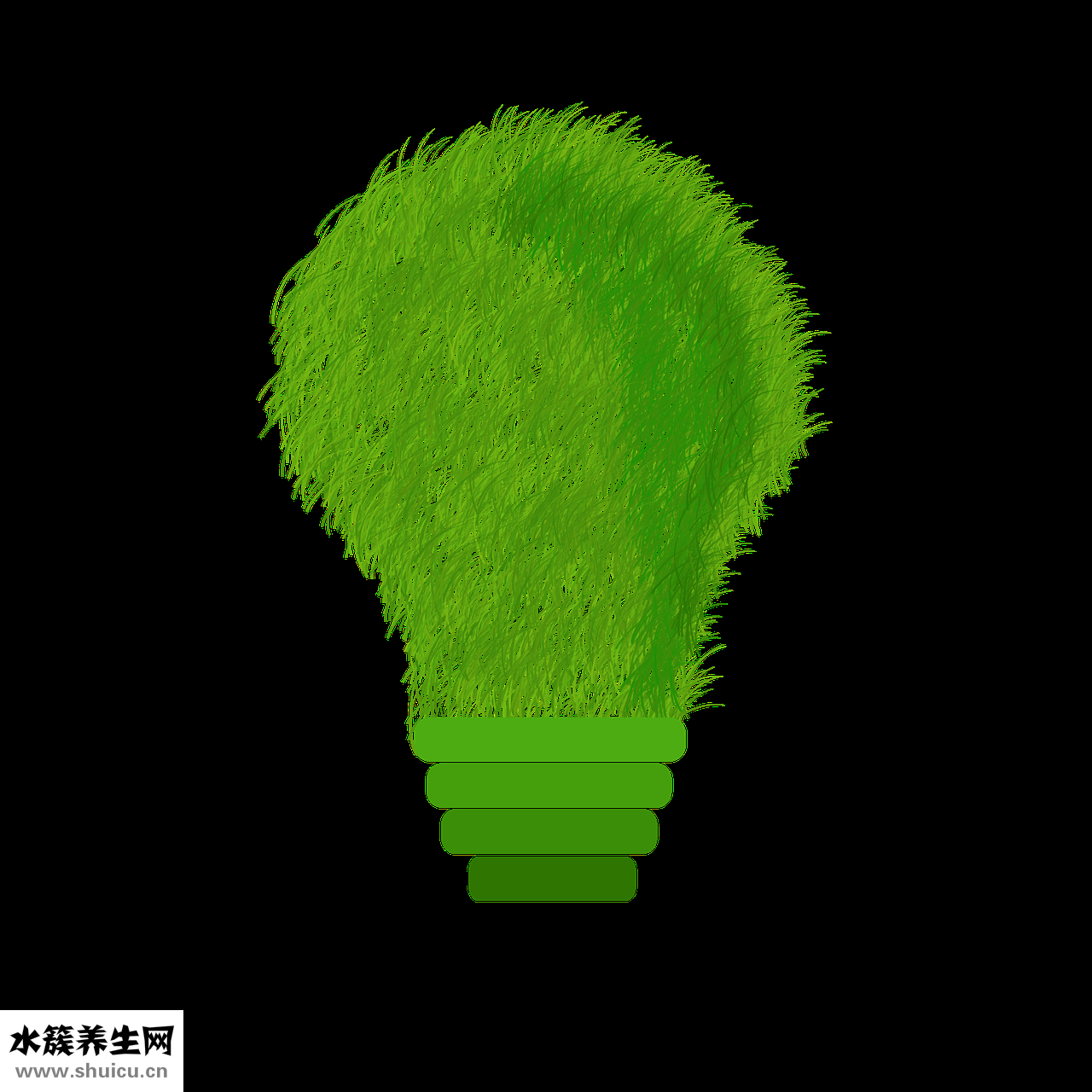 清艾條怎么用