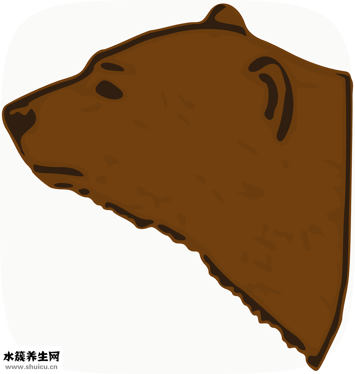 術科怎么有兩個分數