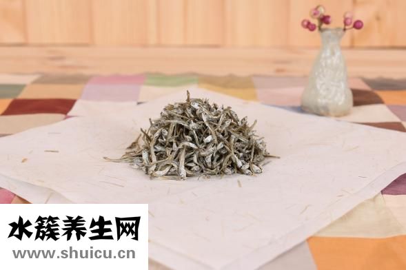 鳳尾魚下崽后怎么養