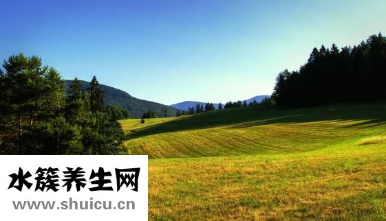 鳥籠怎么用
