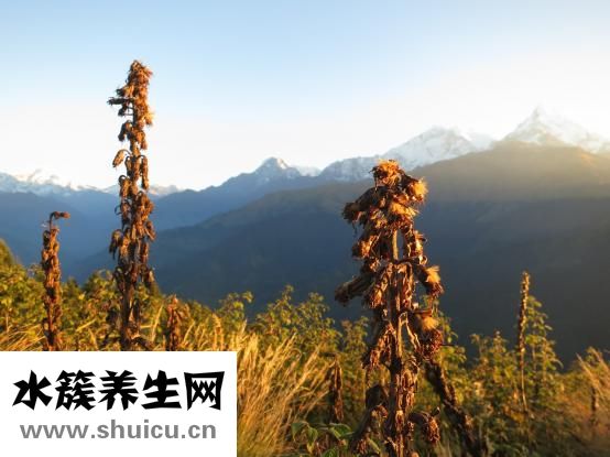 口嗅怎么治