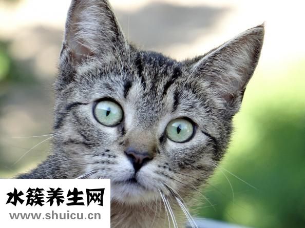 想擼的時候怎么辦