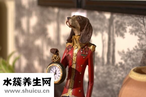 魔芋粉怎么做