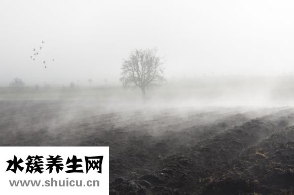 身體怎么護理