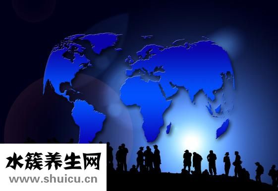 樺樹怎么種