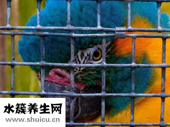怎么勾花邊
