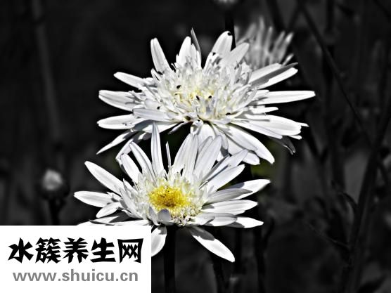 怎么勾花邊