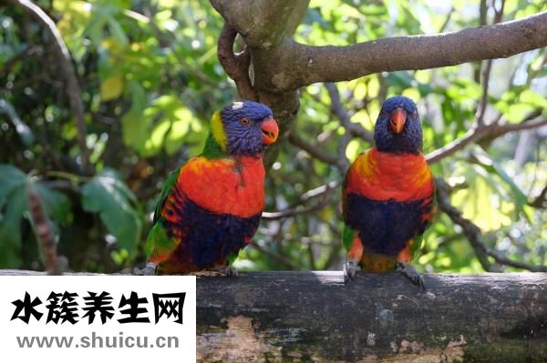 掌寬怎么量