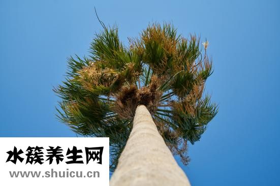 掌寬怎么量