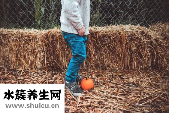 鳥籠怎么用
