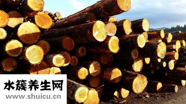 枸櫞怎么念