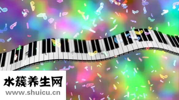 肉蓉怎么弄快