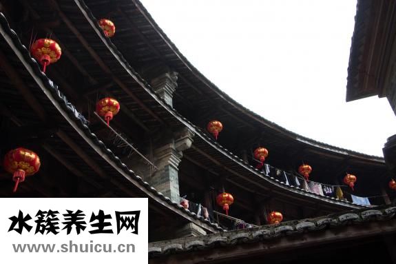 鳥籠怎么用