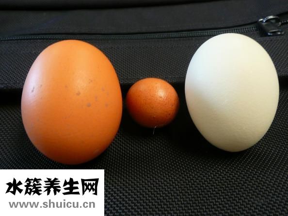 海鮮醬油怎么調