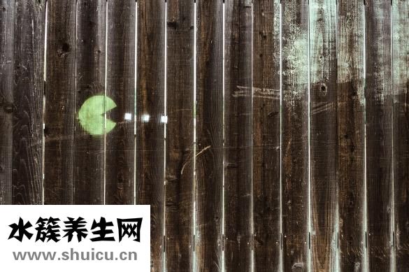 杜蠣怎么吃