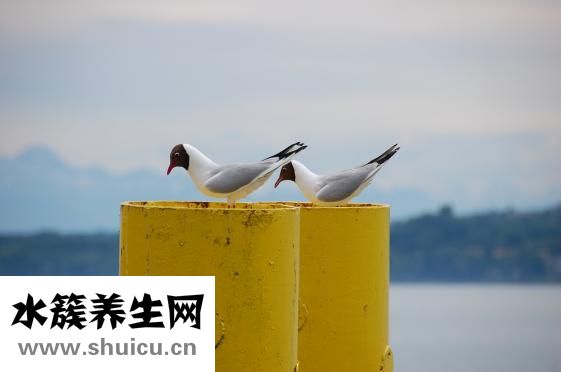 早泄濕巾怎么用